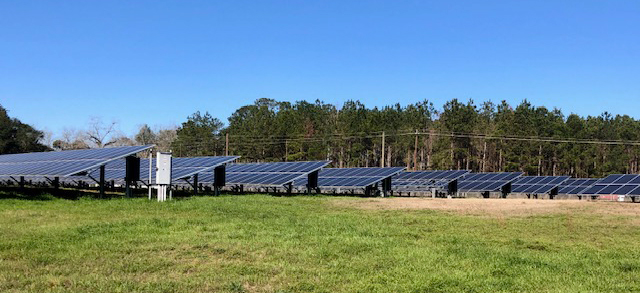 Dollar Farm Products also has several acres of solar panels on the farm that help offset their power consumption